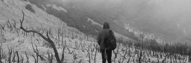 emyepe's profile banner image