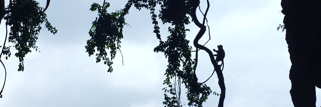 Imranosoprano's profile banner image