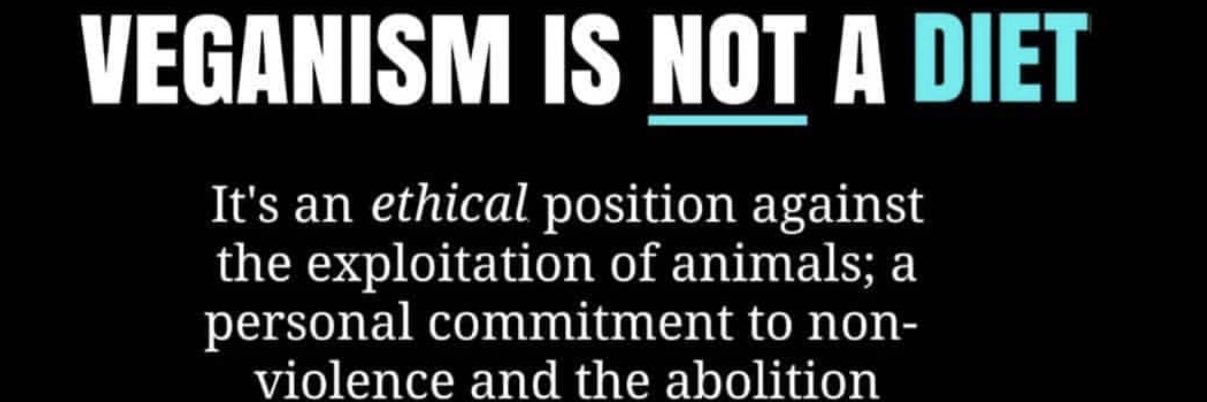 veganFTA's profile banner image