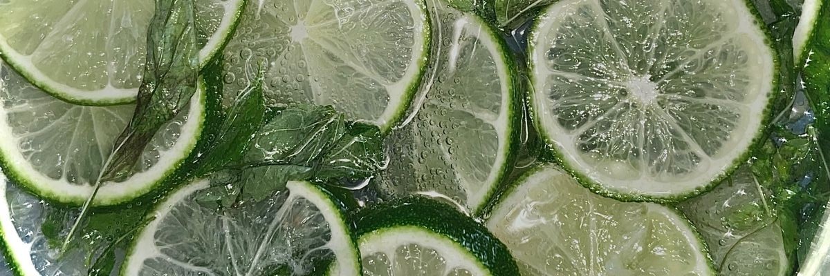sashkolna's profile banner image