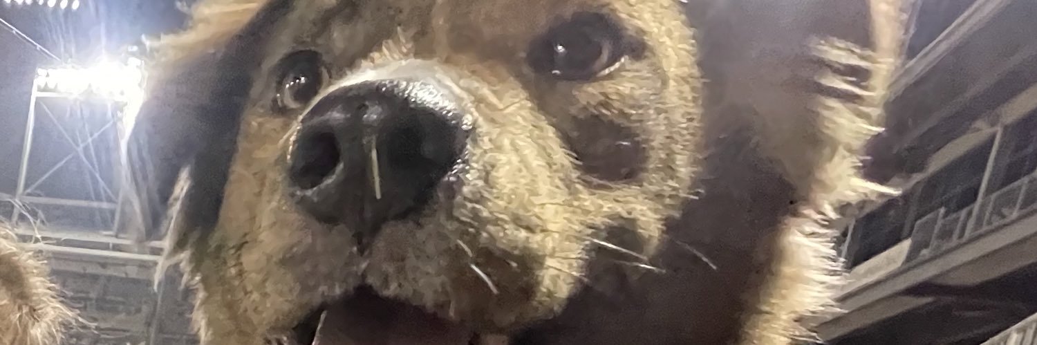 patrickdeavours banner