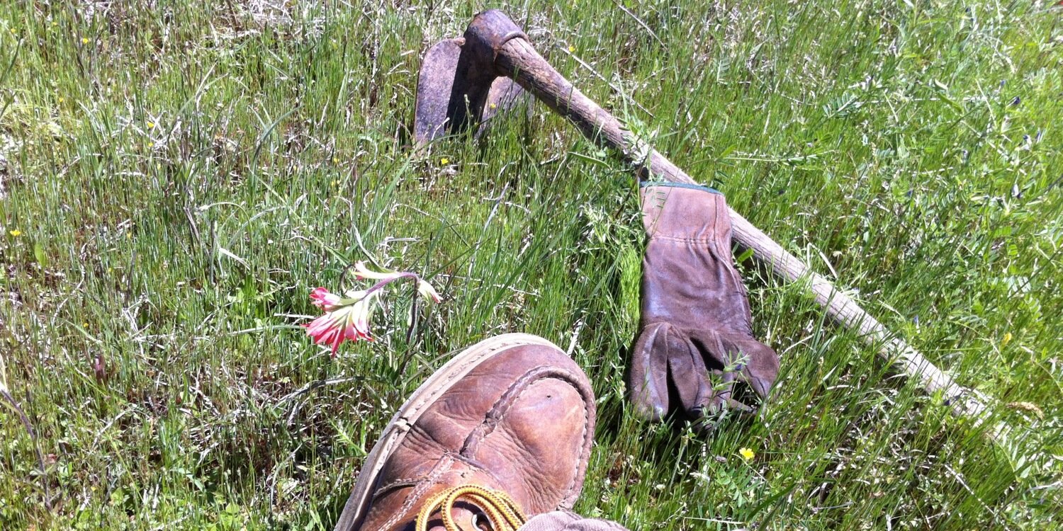 farmer_jeff's profile banner image