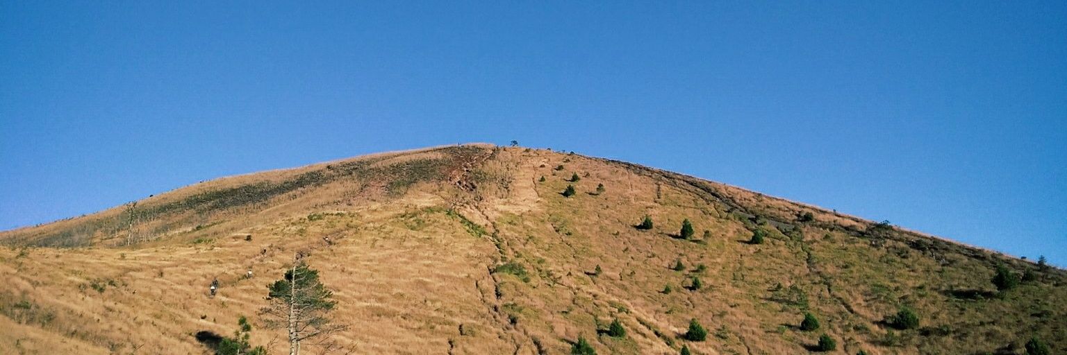 nuromenn's profile banner image