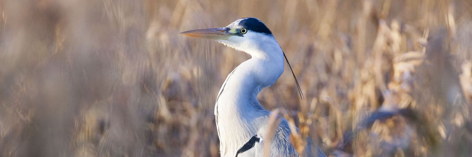 PNR Marais Cotentin Bessin banner
