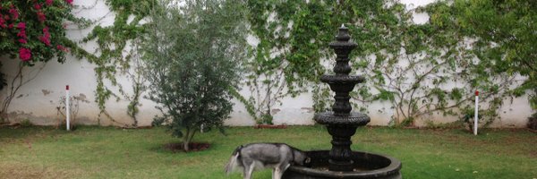 nilomr11 Profile Banner