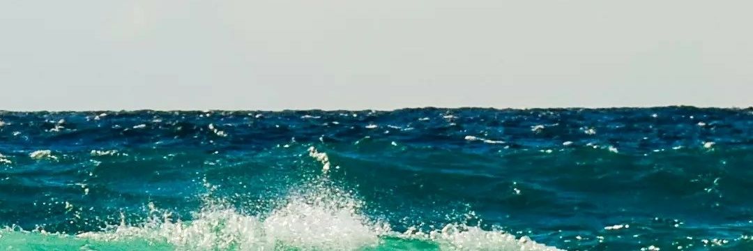 PVVNX's profile banner image