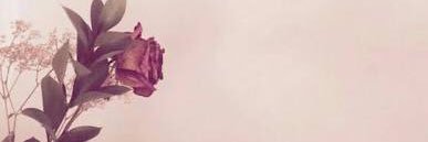 ChocolatteJM's profile banner image