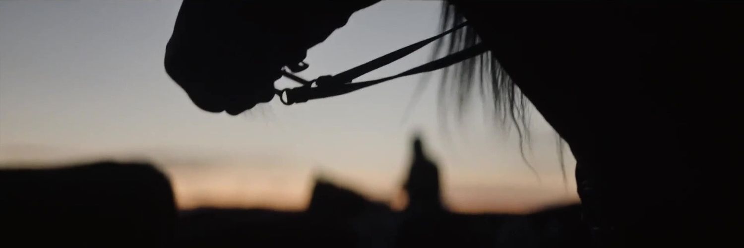lady_46's profile banner image