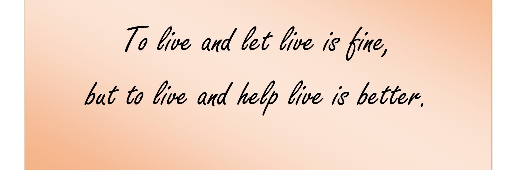 Judi Pennella banner