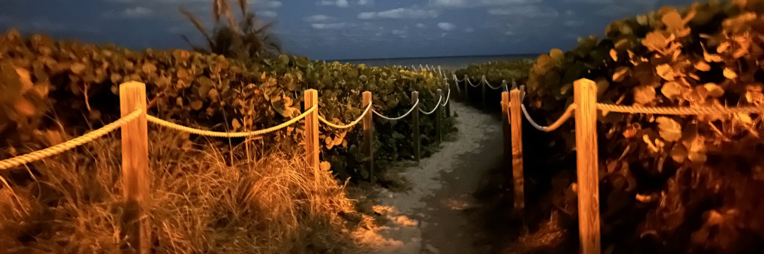 tracymarani's profile banner image