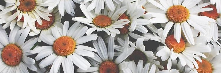 janamanjares's profile banner image