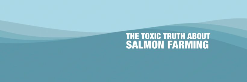 realfoodkitchen banner