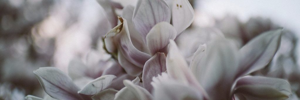 CHRIS__PALM's profile banner image