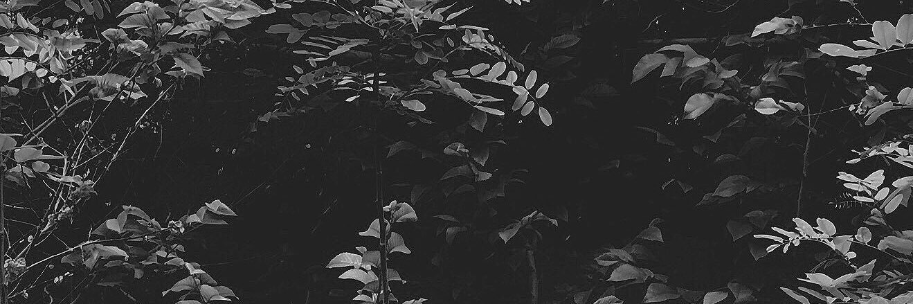 AlecTwenty's profile banner image