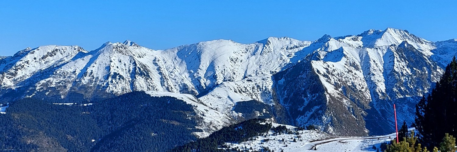 Sté Blonk banner