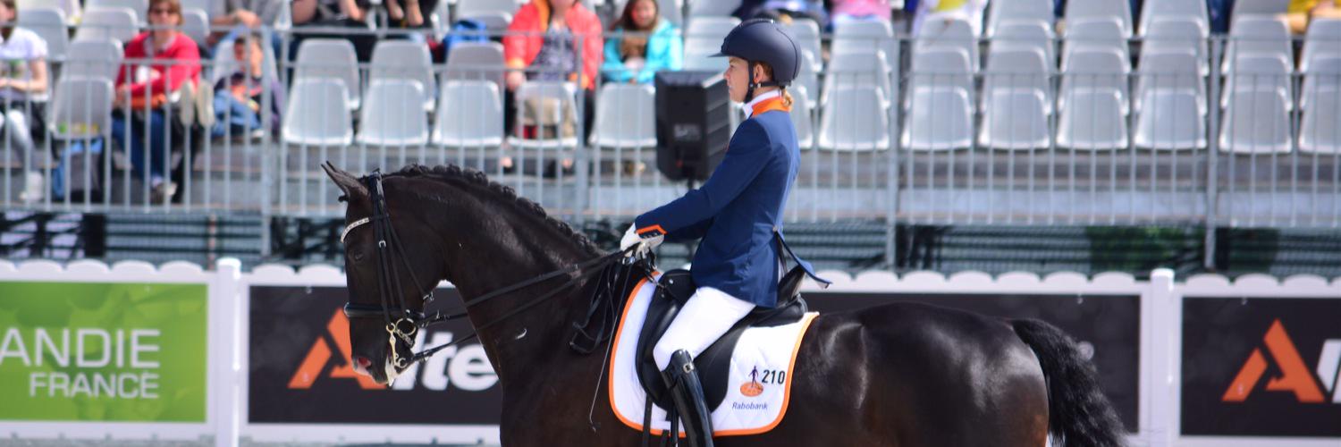 Rixt van der Horst banner