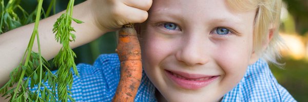 ChefsintheClass Profile Banner