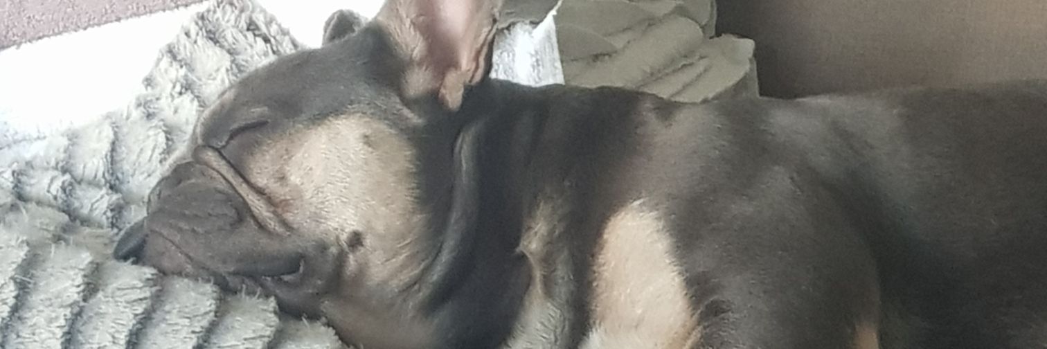 BMandybuchan's profile banner image