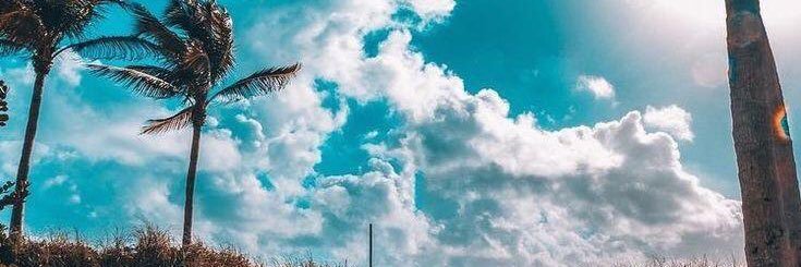 auodlyy's profile banner image