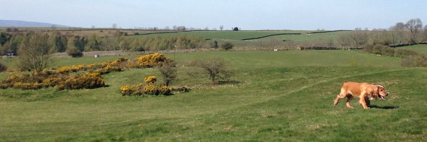 Tykie Bowden banner