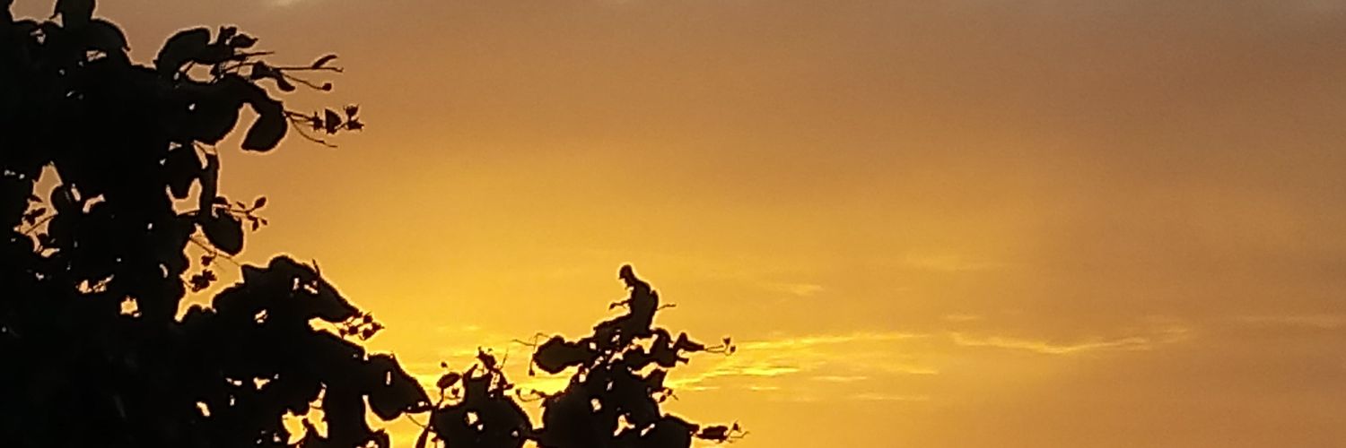 beybebro's profile banner image