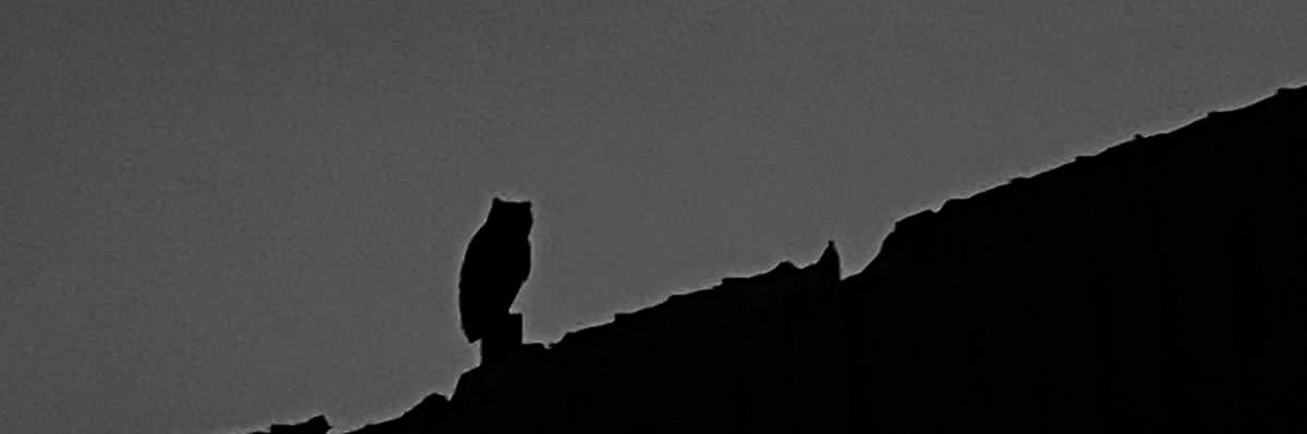 DudetteM's profile banner image