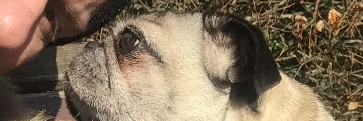 aphex78's profile banner image