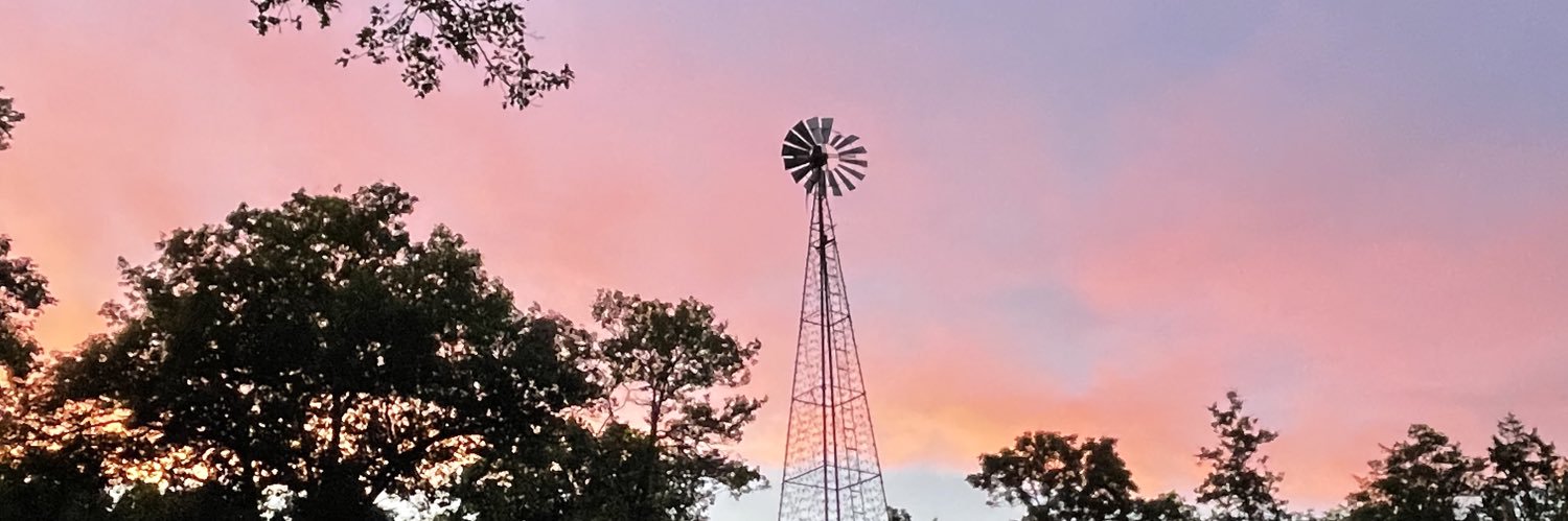 JadeLynThompson's profile banner image
