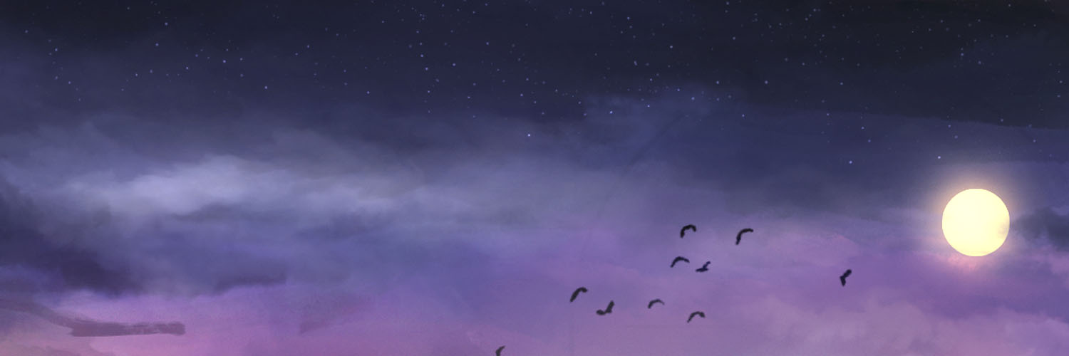 imLFZ's profile banner image