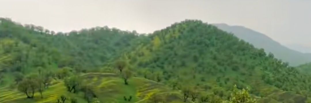 altmoh95's profile banner image