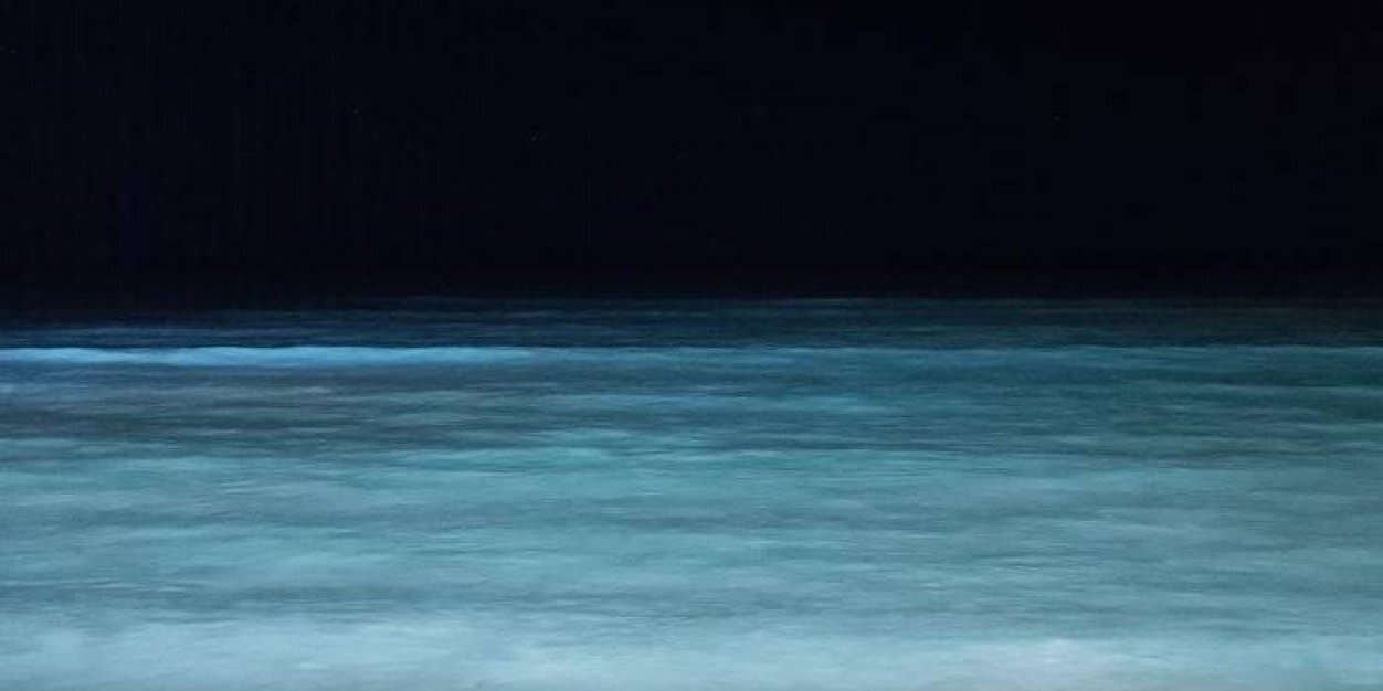 Michelle banner