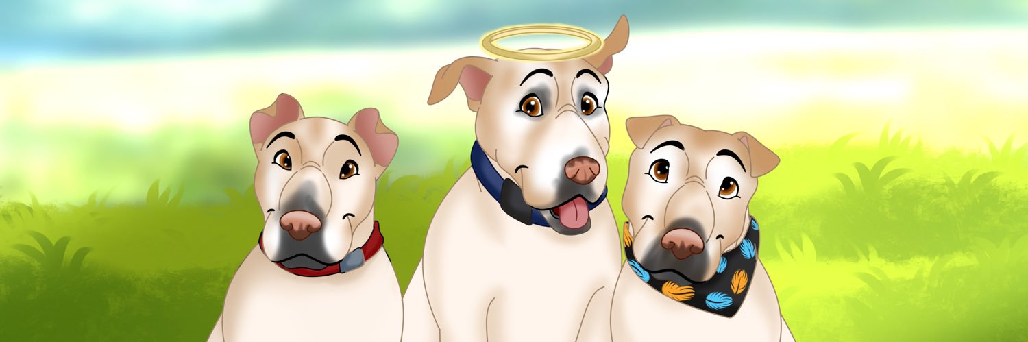 DSchnacky's profile banner image