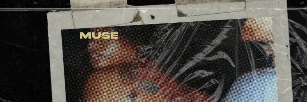 ypcnige's profile banner image