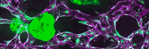 TomItkin Profile Banner