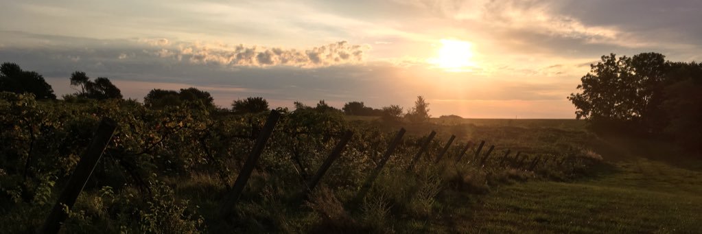 Andy_Breuer's profile banner image