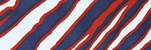 alemanski16's profile banner image