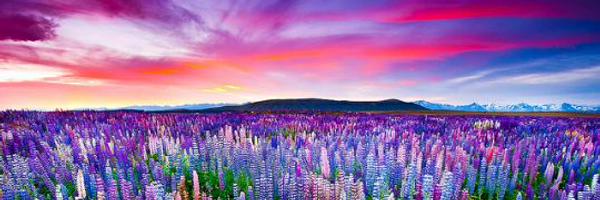 caitelliott1 Profile Banner