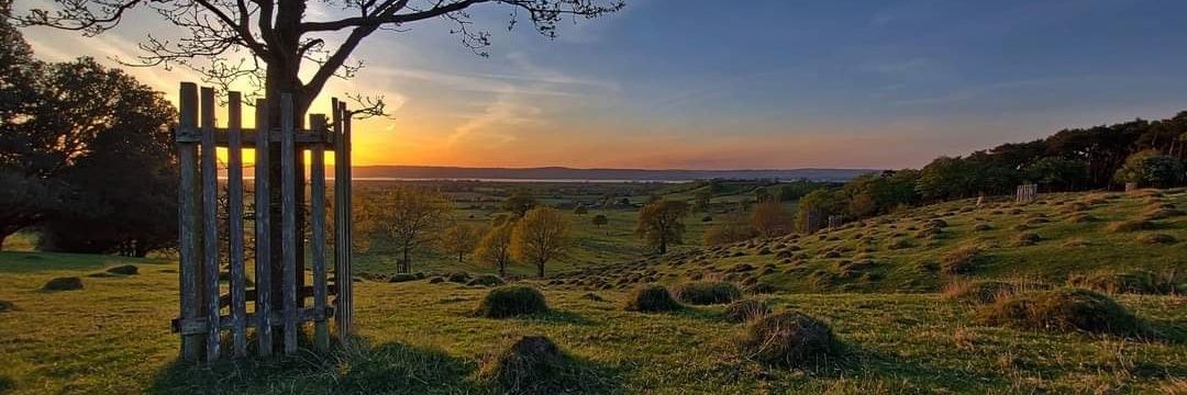 Paddy 🇮🇪 banner