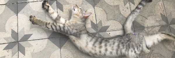 DanielHiltonCFC Profile Banner