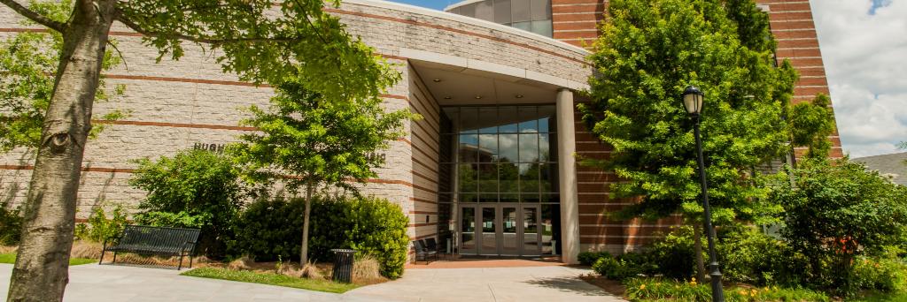 Hodgson School banner