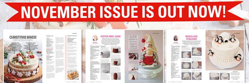 Cake Decoration Mag banner
