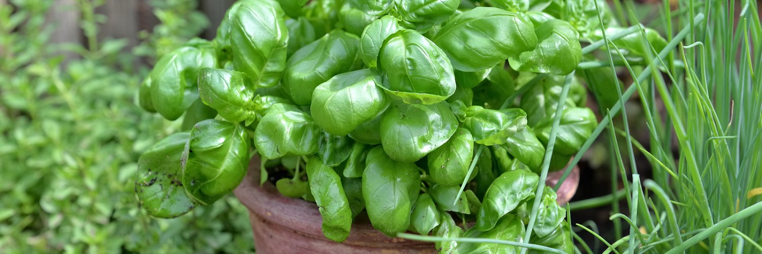 RealSufficient's profile banner image