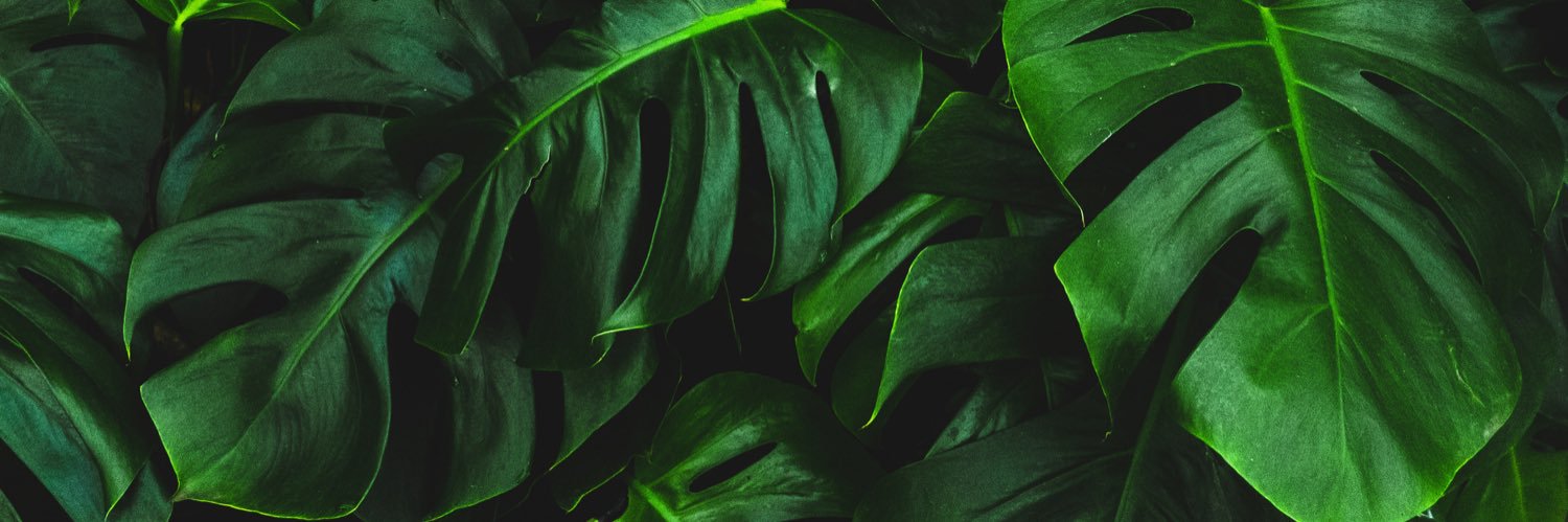 TIFFANIE banner