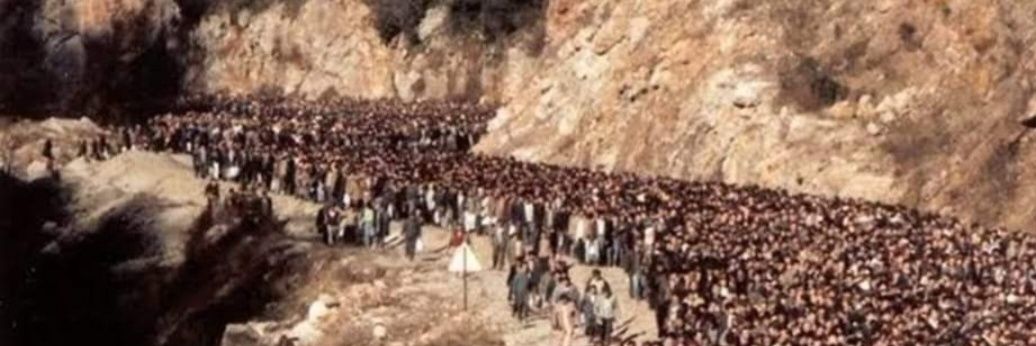 Bilgütay Hakkı Durna banner