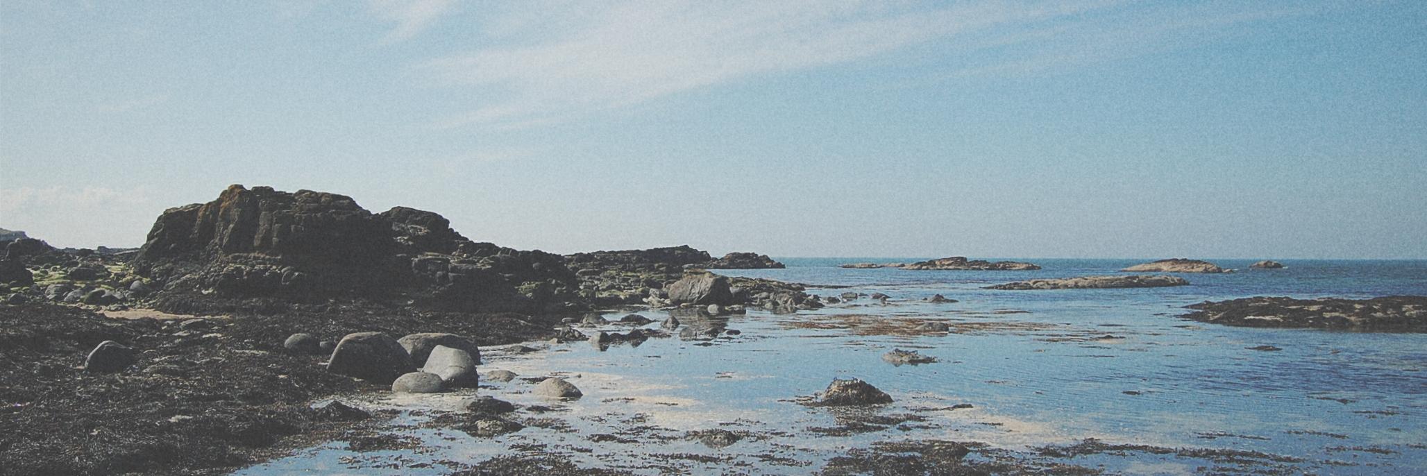 MattRJBishop's profile banner image