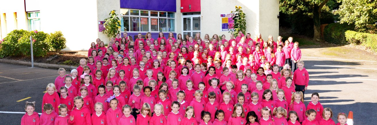 Scoil Bhríde banner