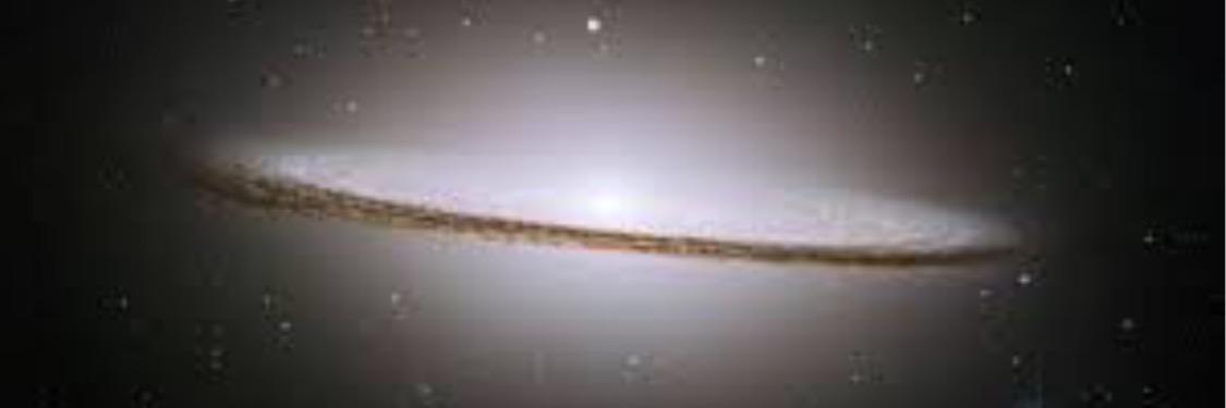 ritabrisbane's profile banner image