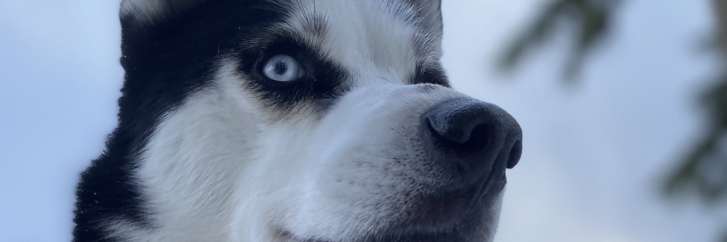 asunku's profile banner image