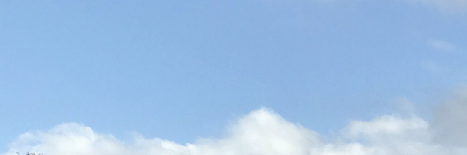 amuresuta's profile banner image