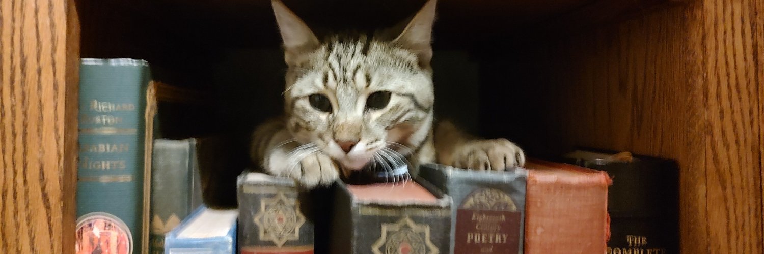 Jennifer Pullen banner